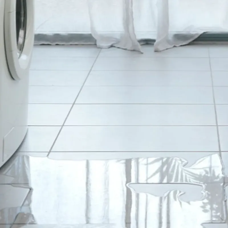 Appliance Leak Cleanup in Grayslake, IL
