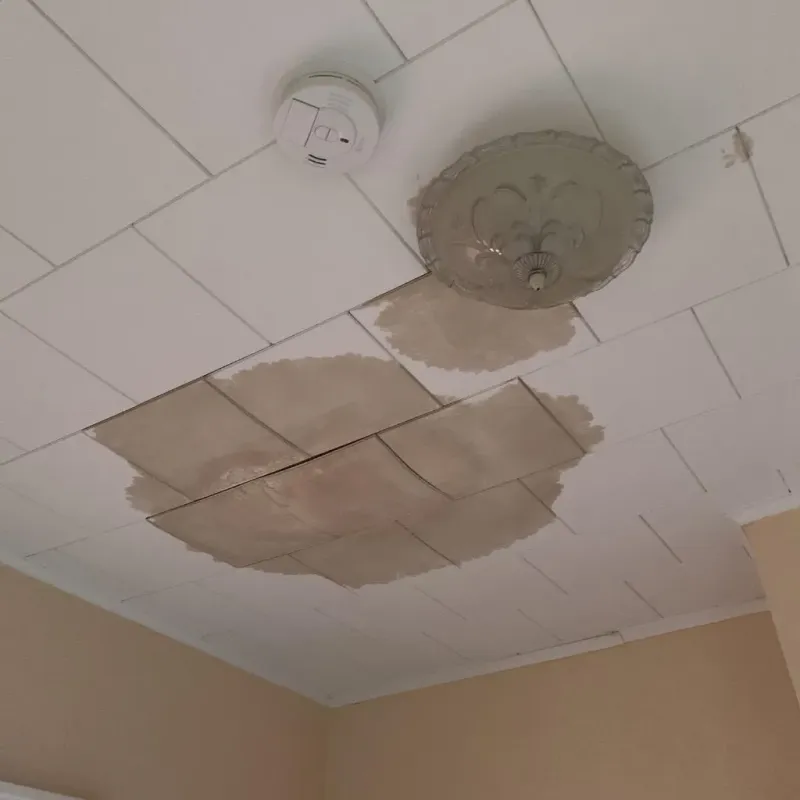 Ceiling Water Damage Repair in Grayslake, IL