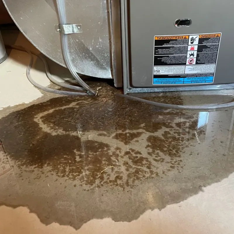 Pipe Burst and Leak Restoration in Grayslake, IL